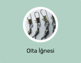 Olta İğnesi