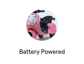 Battery Powered Vehicle