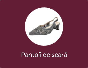 Pantofi de seară