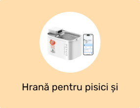 Hrană pentru pisici și recipiente pentru apă