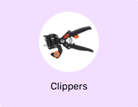 Clippers