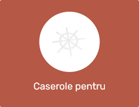 Caserole pentru mâncare
