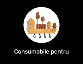 Consumabile pentru casă
