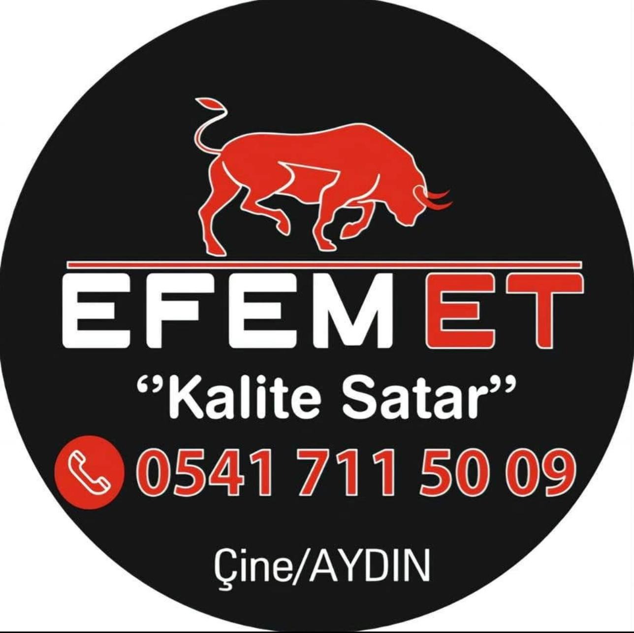 EFEM ET