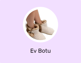 Ev Botu