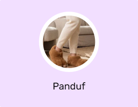 Panduf