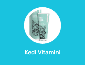 Kedi Vitamini