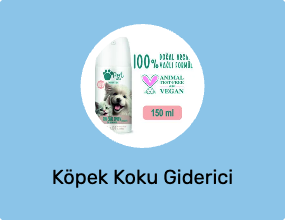 Köpek Koku Giderici
