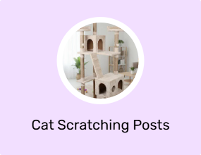 Cat Scratching Posts