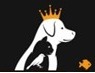PasifikPeTStore