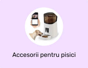 Accesorii pentru pisici