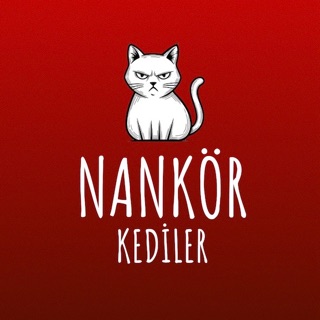 Nankör Kediler