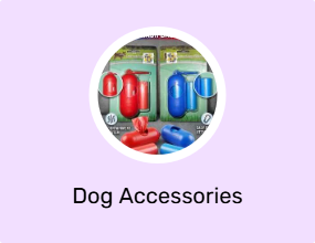 Dog Accessories