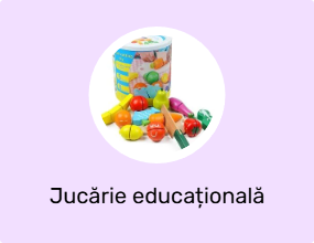 Jucărie educațională