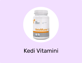 Kedi Vitamini