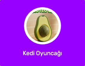Kedi Oyuncağı