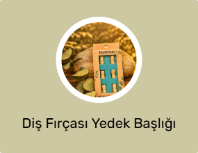 Diş Fırçası Yedek Başlığı