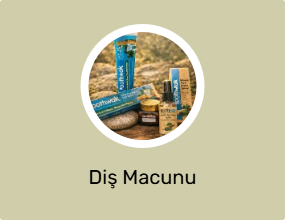 Diş Macunu
