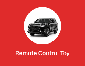 Remote Control Toy