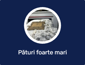 Pături foarte mari