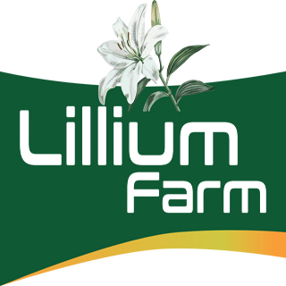 Lillium Farm