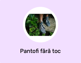 Pantofi fără toc