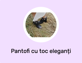 Pantofi cu toc eleganți