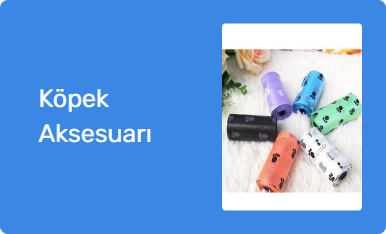 Köpek Aksesuarı