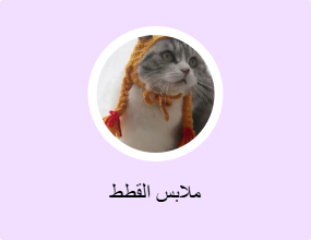 ملابس القطط