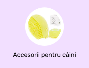 Accesorii pentru câini