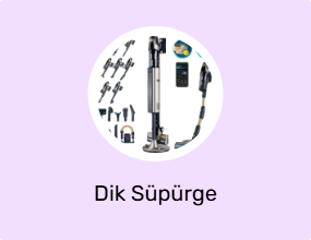 Dik Süpürge