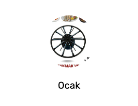 Ocak