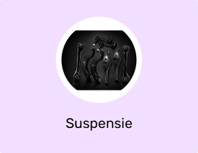 Suspensie