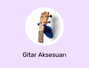 Gitar Aksesuarı