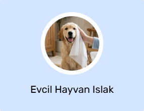 Evcil Hayvan Islak Mendili