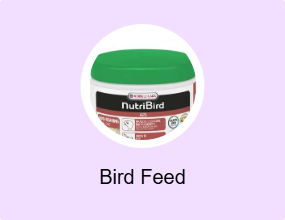 Bird Feed
