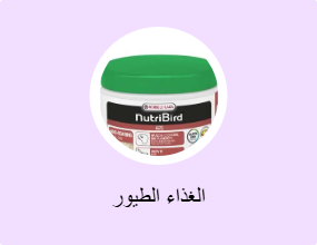 الغذاء الطيور