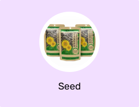 Seed