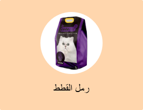 رمل القطط