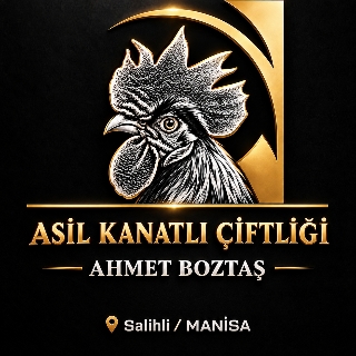 Asil Kanatlı Çiftliği