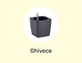 Ghivece