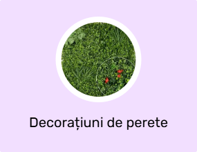 Decorațiuni de perete