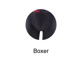 Boxer