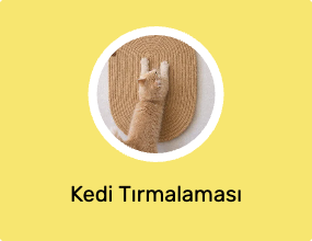 Kedi Tırmalaması