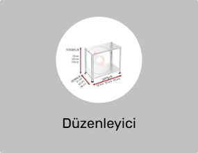Düzenleyici