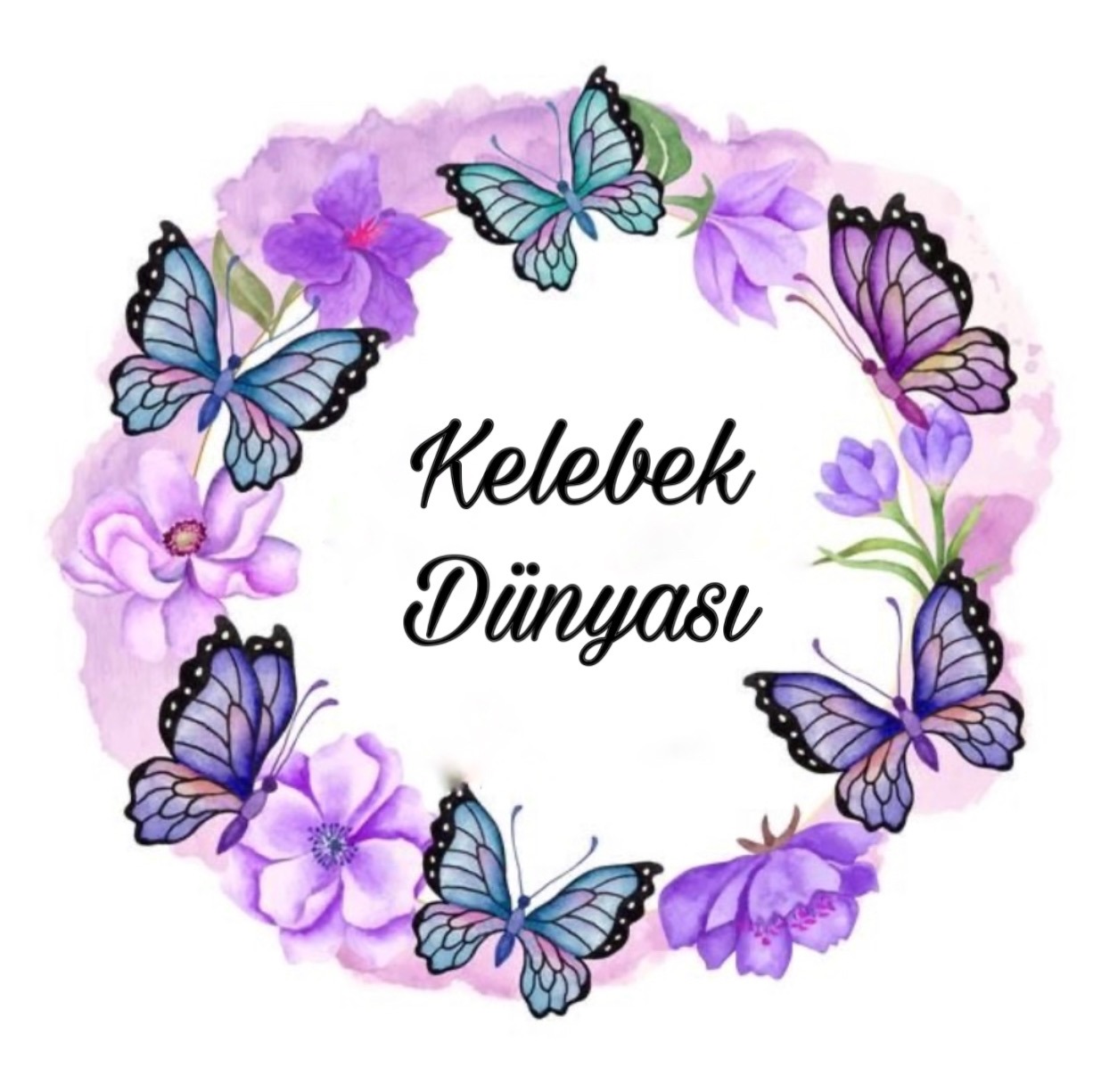Kelebek Dünyasi