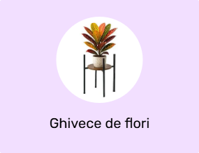 Ghivece de flori