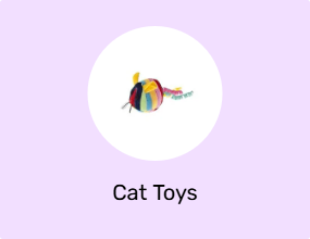 Cat Toys