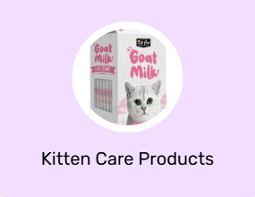 Kitten Care Products