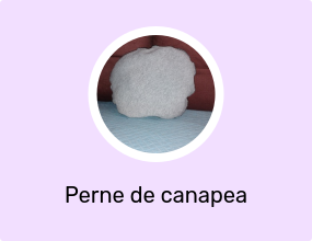 PERNA SCAUN
